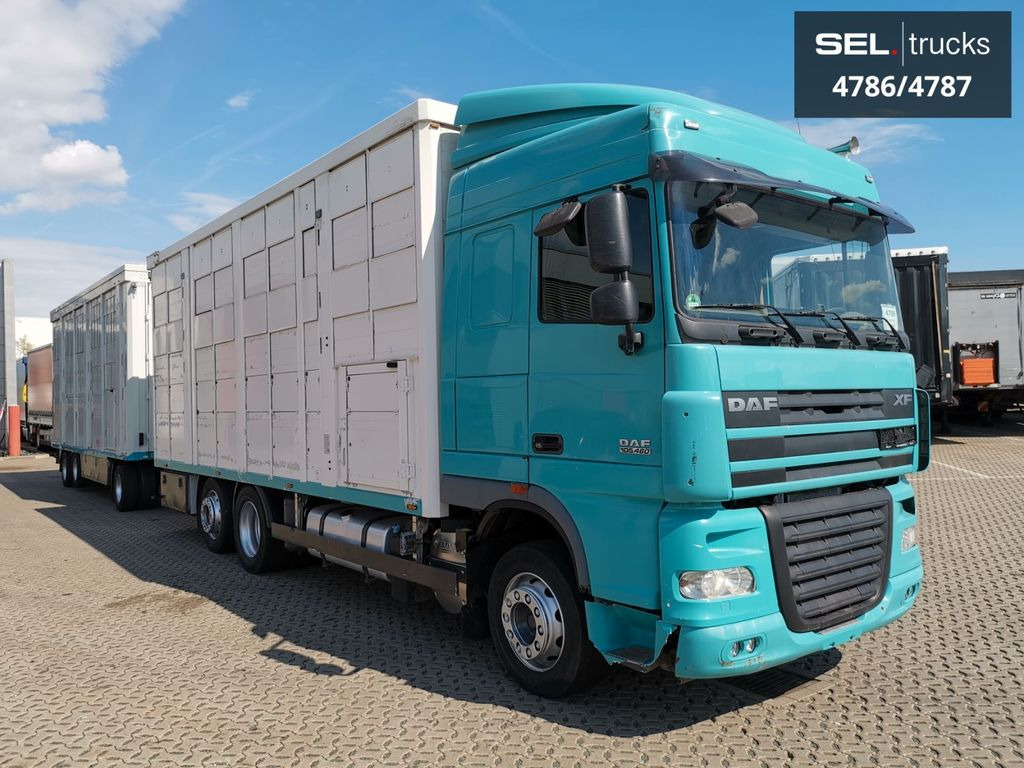 DAF XF 105.460 / Intarder / 4 Stock / KOMPLETT ! DAF XF 105.460 / Intarder / 4 Stock / KOMPLETT ! - Грузовик для перевозки животных: фото 4 DAF XF 105.460 / Intarder / 4 Stock / KOMPLETT ! DAF XF 105.460 / Intarder / 4 Stock / KOMPLETT ! - Грузовик для перевозки животных: фото 4