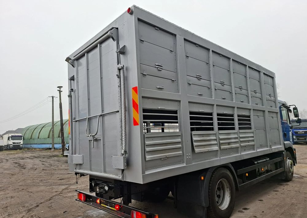 MAN TGM 18.250 4x2 DO ŻYWCA - Грузовик для перевозки животных: фото 5 MAN TGM 18.250 4x2 DO ŻYWCA - Грузовик для перевозки животных: фото 5