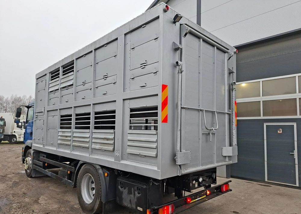 MAN TGM 18.250 4x2 DO ŻYWCA - Грузовик для перевозки животных: фото 3 MAN TGM 18.250 4x2 DO ŻYWCA - Грузовик для перевозки животных: фото 3