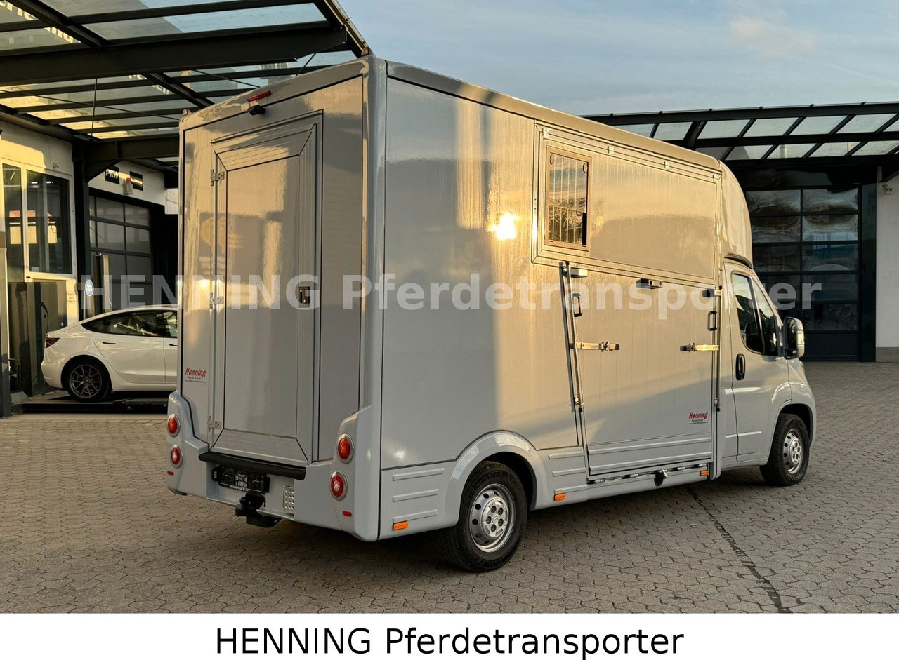 Citroën Jumper 3 - Sitzer - Грузовик для перевозки животных: фото 3 Citroën Jumper 3 - Sitzer - Грузовик для перевозки животных: фото 3