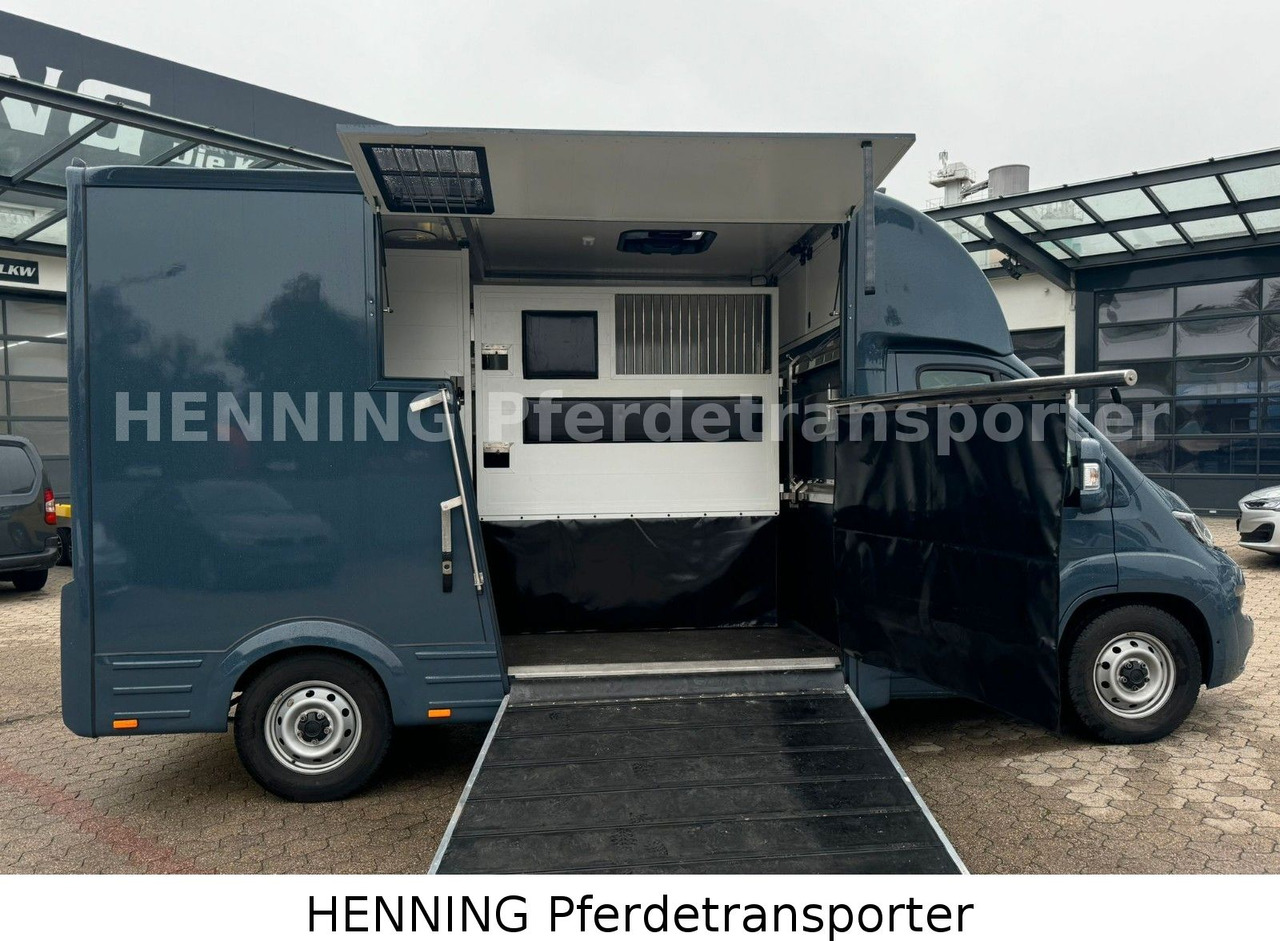 Fiat Ducato *AUTOMATIK* 3 - Sitzer - Грузовик для перевозки животных: фото 4 Fiat Ducato *AUTOMATIK* 3 - Sitzer - Грузовик для перевозки животных: фото 4