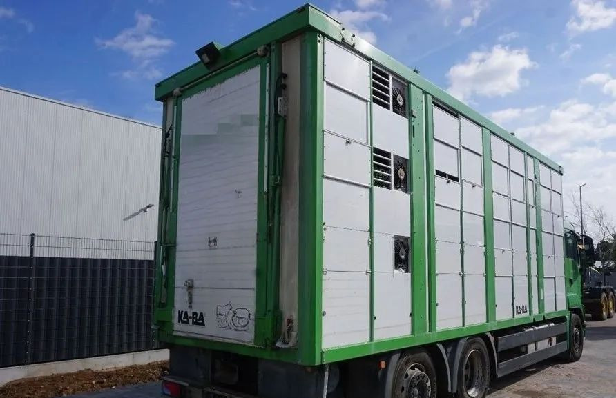 MAN TGS 26.440 ZABUDOWA KABA CAŁA ALUMINIOWA– samochód do transportu zwierząt/koni – 3 pokłady / EURO 5/6X2/PODNOSZONY DACH - Грузовик для перевозки животных: фото 2 MAN TGS 26.440 ZABUDOWA KABA CAŁA ALUMINIOWA– samochód do transportu zwierząt/koni – 3 pokłady / EURO 5/6X2/PODNOSZONY DACH - Грузовик для перевозки животных: фото 2