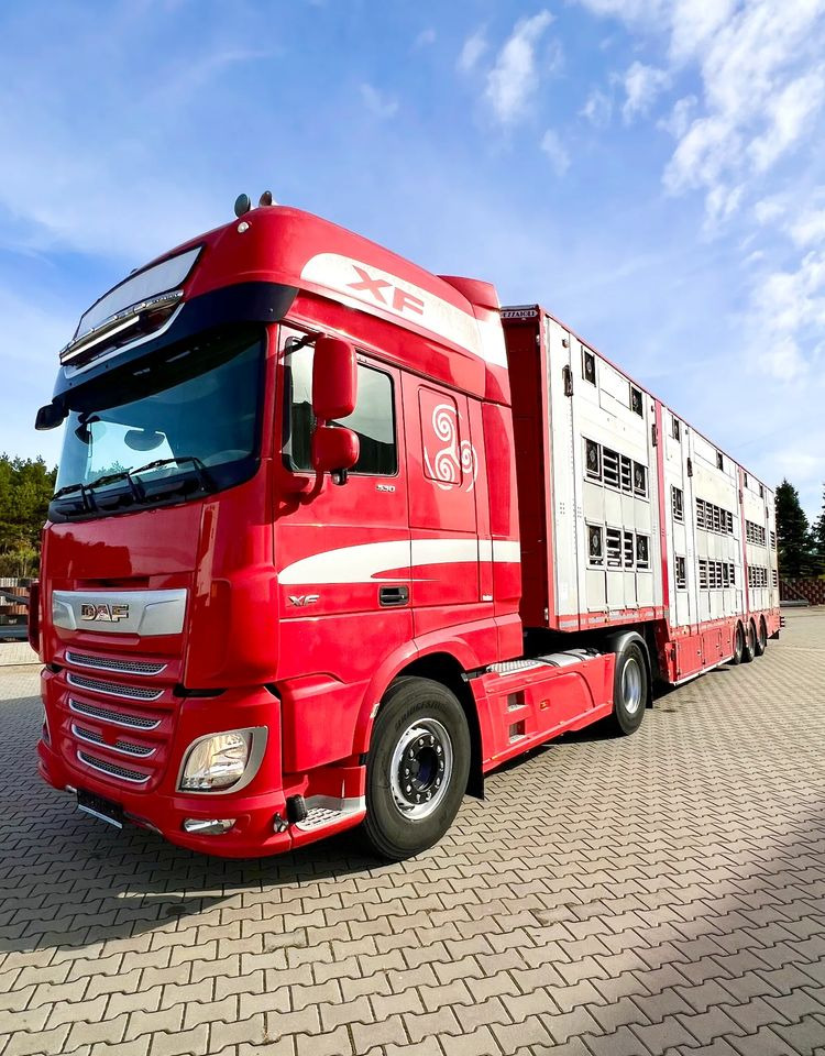 Pezzaioli NACZEPA 2017 / 3 POZIOMY / TRANSPORT ZWIERZĄT / HYDRAULIKA / STEROWANIE PILOTEM/ PODNOSZONY DACH / - Полуприцеп для перевозки животных: фото 5 Pezzaioli NACZEPA 2017 / 3 POZIOMY / TRANSPORT ZWIERZĄT / HYDRAULIKA / STEROWANIE PILOTEM/ PODNOSZONY DACH / - Полуприцеп для перевозки животных: фото 5