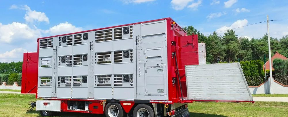 Pezzaioli RBA 32/TRZYOSIOWA PRZYCZEPA-2XBYDŁO,3X TRZODA/HYDRAULICZNIE PODNOSZONY DACH I PODŁOGI / OŚ ŚRODKOWA PODNOSZONA - Прицеп для перевозки животных: фото 2 Pezzaioli RBA 32/TRZYOSIOWA PRZYCZEPA-2XBYDŁO,3X TRZODA/HYDRAULICZNIE PODNOSZONY DACH I PODŁOGI / OŚ ŚRODKOWA PODNOSZONA - Прицеп для перевозки животных: фото 2