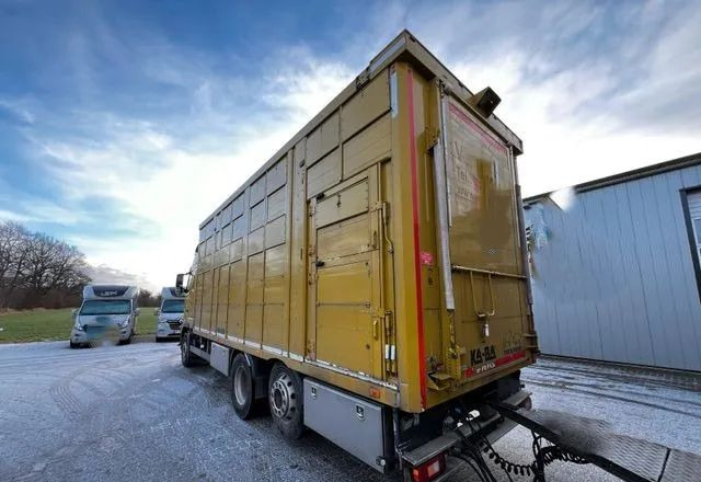 Volvo FH 420 • KABA • Transport Zwierząt 3xŚwinie/ 2xBydło 3-piętrowy • Euro 5 • Retarder • Oś podnoszona i skrętna - Грузовик для перевозки животных: фото 4 Volvo FH 420 • KABA • Transport Zwierząt 3xŚwinie/ 2xBydło 3-piętrowy • Euro 5 • Retarder • Oś podnoszona i skrętna - Грузовик для перевозки животных: фото 4