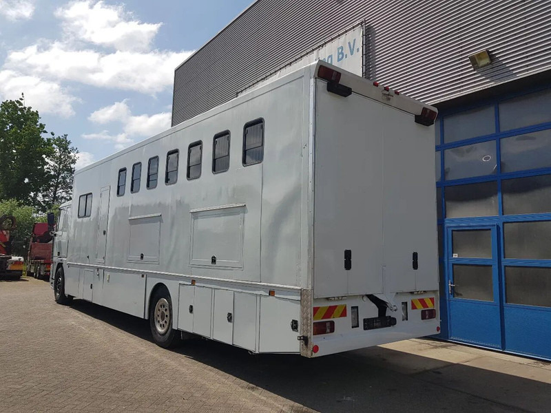 DAF 95.350 Paardenwagen met zitverblijf 7 paarden 7 horses - Коневоз: фото 4 DAF 95.350 Paardenwagen met zitverblijf 7 paarden 7 horses - Коневоз: фото 4