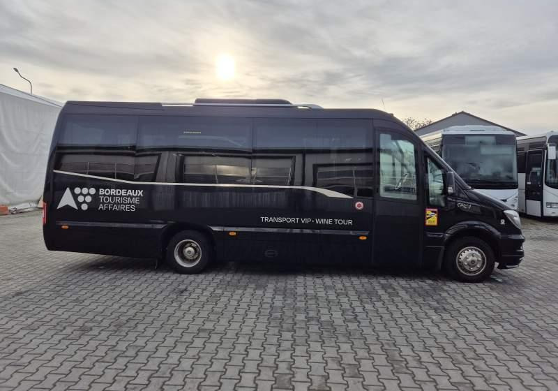 Микроавтобус, Пассажирский фургон Mercedes-Benz SPICA/ SPRINTER/ SPROWADZONY/ 3.0 SILNIK: фото 10