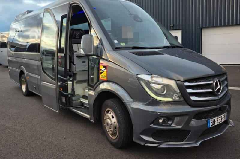 Mercedes-Benz SPRINTER 516 BLUETEC / SPROWADZONY / 86 000 KM - Микроавтобус, Пассажирский фургон: фото 1 Mercedes-Benz SPRINTER 516 BLUETEC / SPROWADZONY / 86 000 KM - Микроавтобус, Пассажирский фургон: фото 1