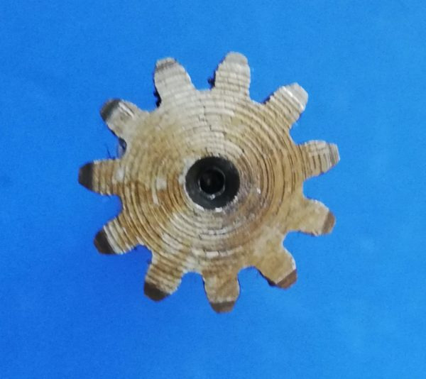 020390A Wałek silnika jazdy Takeuchi TB016, Kubota KX41-3V - Гидравлический мотор для Строительной техники: фото 5 020390A Wałek silnika jazdy Takeuchi TB016, Kubota KX41-3V - Гидравлический мотор для Строительной техники: фото 5