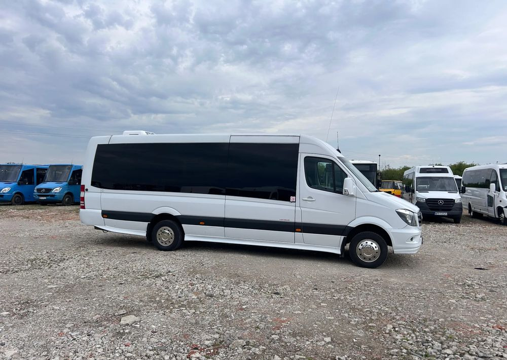 Mercedes-Benz Sprinter 519 - Микроавтобус, Пассажирский фургон: фото 3 Mercedes-Benz Sprinter 519 - Микроавтобус, Пассажирский фургон: фото 3