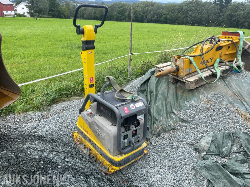2023 Wacker Neuson DPU554HECH Strøken vibroplate/hoppetuse klar for ny eier - Каток: фото 2 2023 Wacker Neuson DPU554HECH Strøken vibroplate/hoppetuse klar for ny eier - Каток: фото 2
