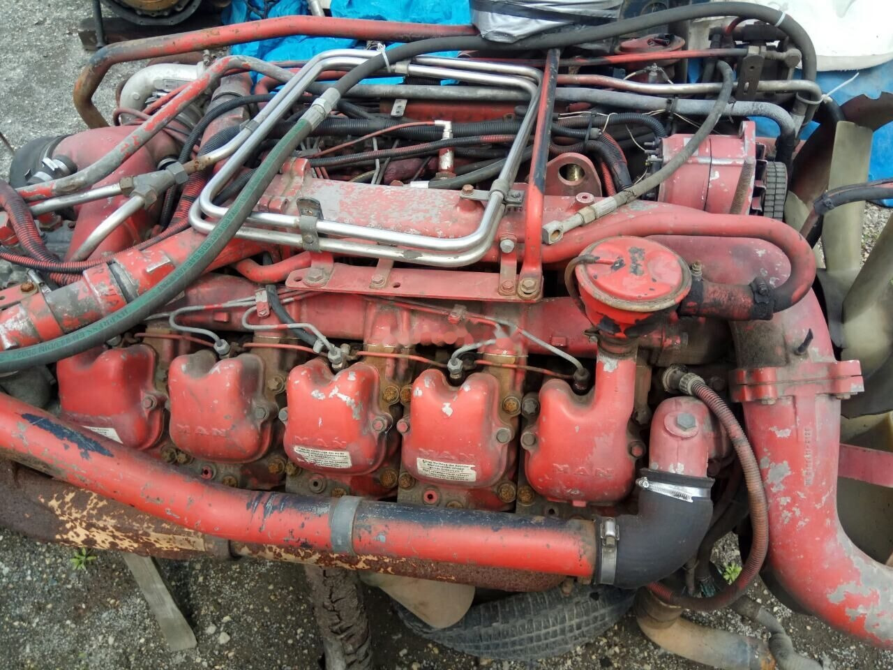 MAN D2840 LF01 MAN F 2000 - Двигатель для Грузовиков: фото 1 MAN D2840 LF01 MAN F 2000 - Двигатель для Грузовиков: фото 1