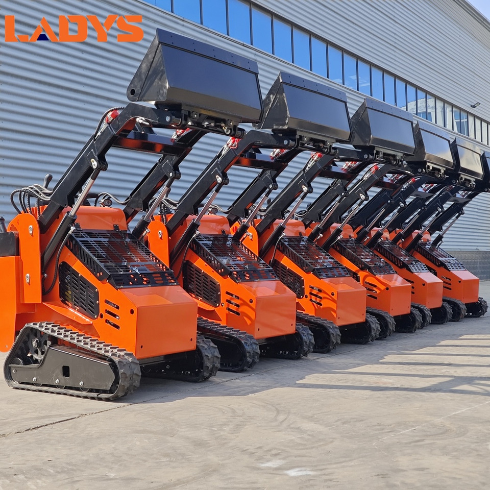 LADYS Free Shipping Mini Skid Steer Loader Compact Track Electric/Diesel Chinese Mini Skid Steer Loader For Sale With Mini Skid Steer Attachments 4 In 1 Bucket - Мини-погрузчик с бортовым поворотом: фото 1 LADYS Free Shipping Mini Skid Steer Loader Compact Track Electric/Diesel Chinese Mini Skid Steer Loader For Sale With Mini Skid Steer Attachments 4 In 1 Bucket - Мини-погрузчик с бортовым поворотом: фото 1