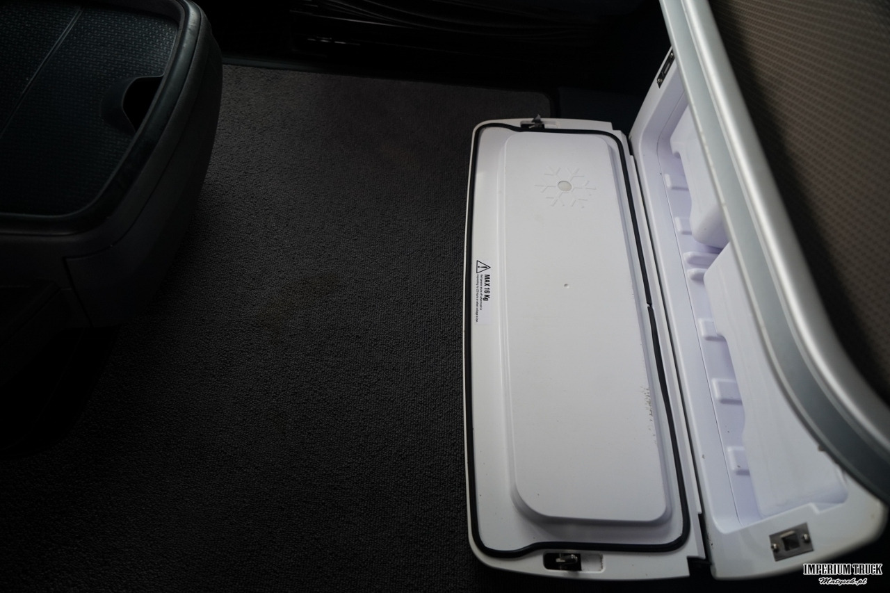 Тягач SCANIA R 450 / MEGA / RETARDER / KLIMA POSTOJOWA / LOWDECK: фото 28