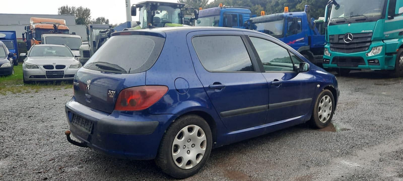 Peugeot 307 Grand Filou - Хэтчбек: фото 3 Peugeot 307 Grand Filou - Хэтчбек: фото 3