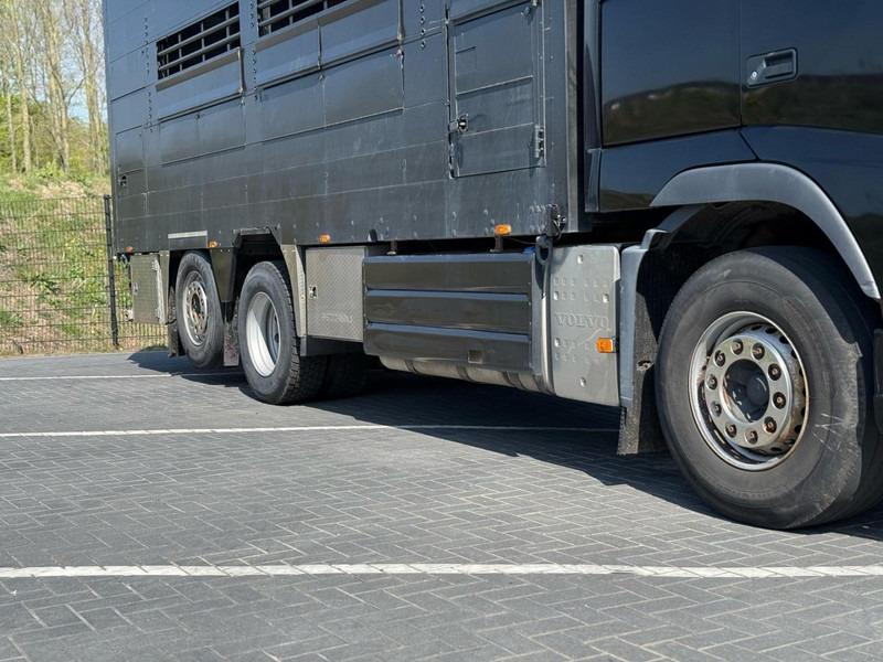 Volvo FH 13.540 STEERING, RETARDER, DOUBLE FLOOR, LIVE STOCK. - Грузовик для перевозки животных: фото 3 Volvo FH 13.540 STEERING, RETARDER, DOUBLE FLOOR, LIVE STOCK. - Грузовик для перевозки животных: фото 3