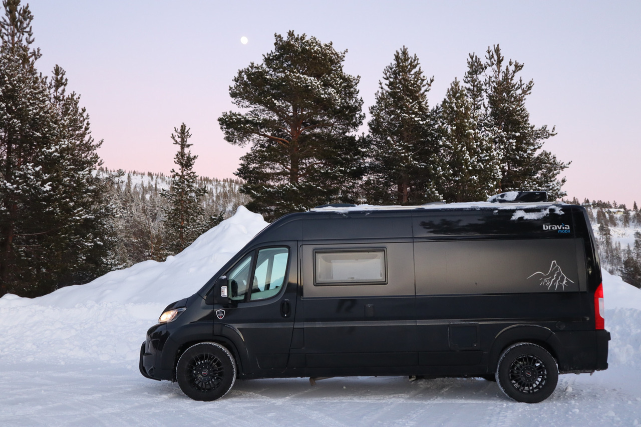 Bravia Swan 599 Nordic - Кастенваген: фото 4 Bravia Swan 599 Nordic - Кастенваген: фото 4