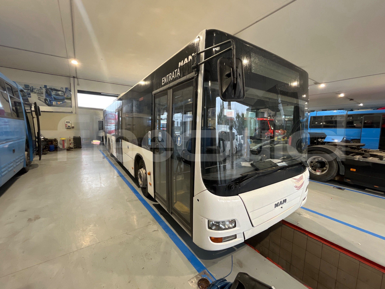 Man A37 - Городской автобус: фото 1 Man A37 - Городской автобус: фото 1
