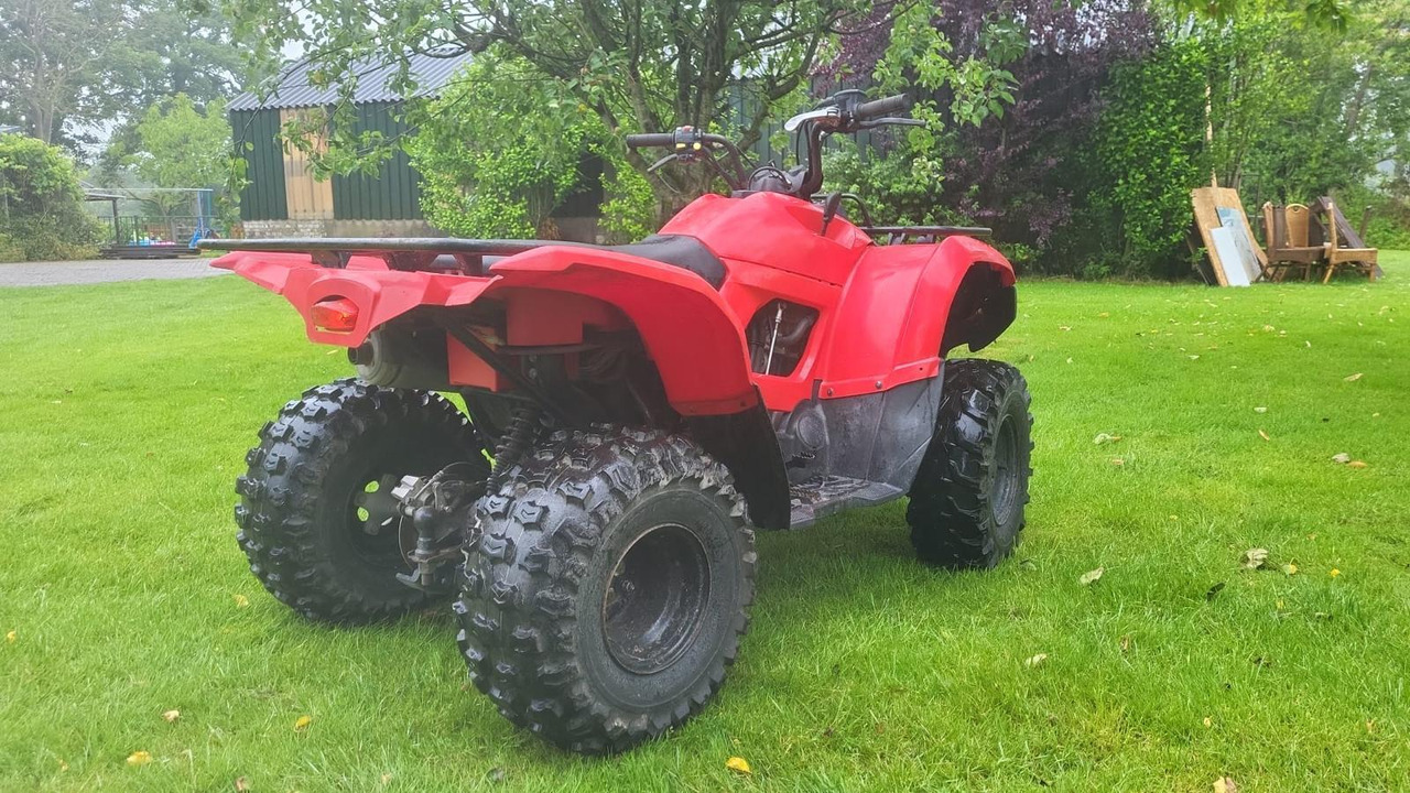 Yamaha Grizzly 300 - Квадроцикл: фото 4 Yamaha Grizzly 300 - Квадроцикл: фото 4