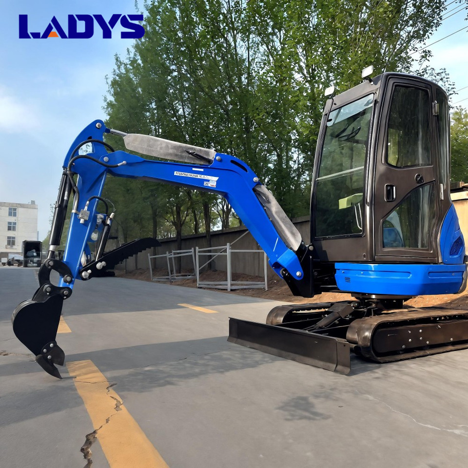 LADYS DY25U Mini Excavator Digger Miniexcavadora EPA Kubota Engine Mini Excavator For Sale With Mini Excavator Attachment Set - Гусеничный экскаватор: фото 4 LADYS DY25U Mini Excavator Digger Miniexcavadora EPA Kubota Engine Mini Excavator For Sale With Mini Excavator Attachment Set - Гусеничный экскаватор: фото 4