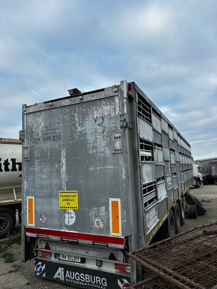 PEZZAIOLLI Animal Transport Semi-trailer - Полуприцеп для перевозки животных: фото 3 PEZZAIOLLI Animal Transport Semi-trailer - Полуприцеп для перевозки животных: фото 3