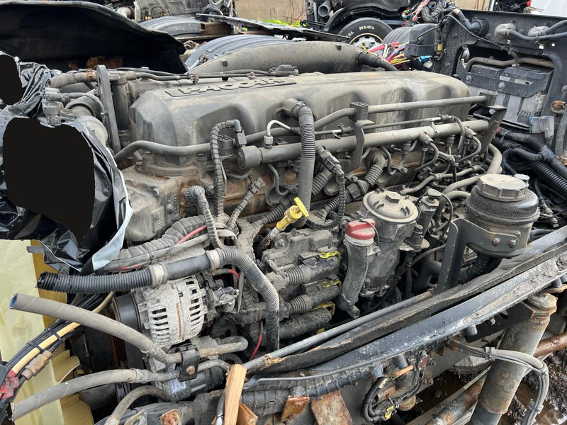 DAF MX13 375 H1 - Двигатель: фото 3 DAF MX13 375 H1 - Двигатель: фото 3