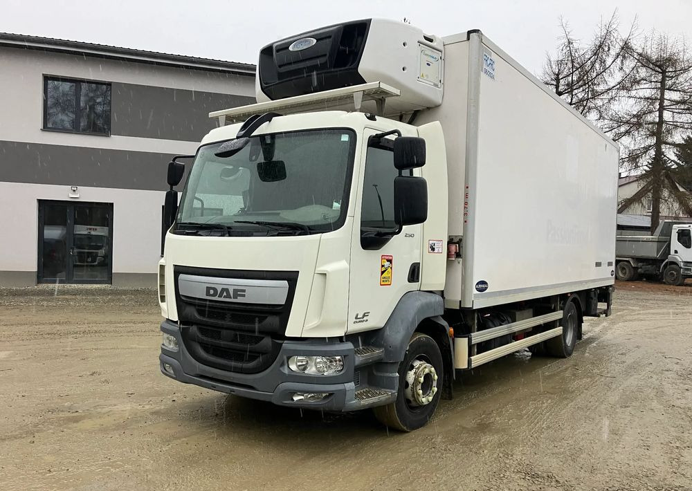 DAF Daf LF 16.250 chłodnia multi temperatura 16 palet - Рефрижератор: фото 1 DAF Daf LF 16.250 chłodnia multi temperatura 16 palet - Рефрижератор: фото 1