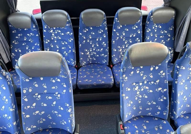 Пригородный автобус Setra 2 x S415 GT-UL  Euro-5: фото 20