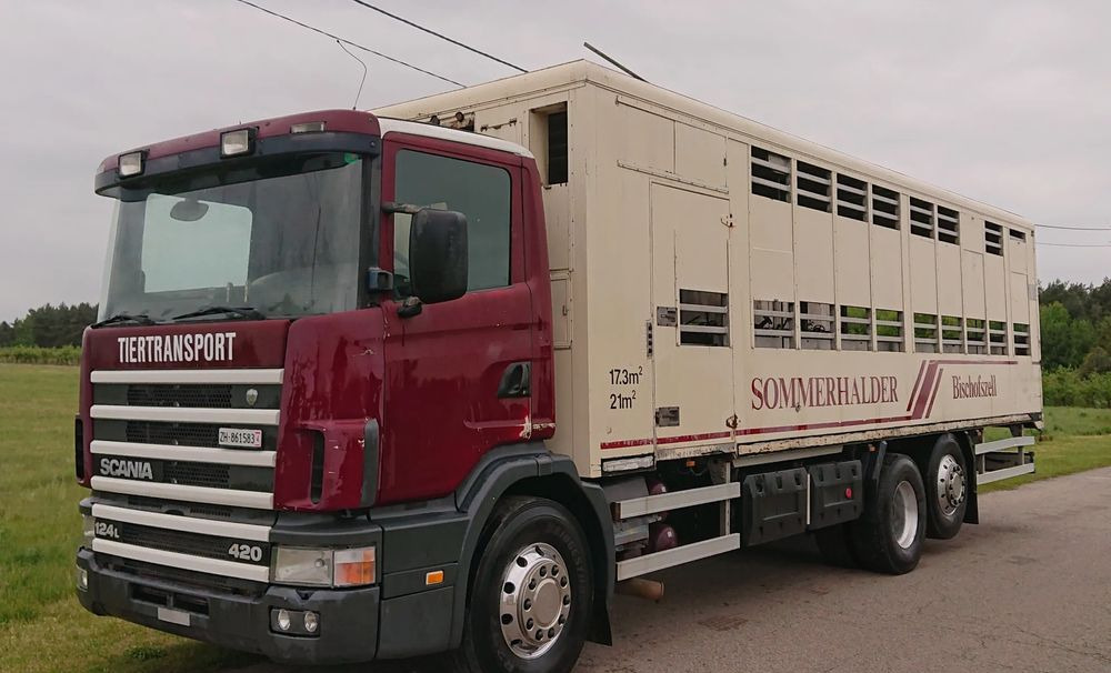 Scania 124 420 Do żywca - Грузовик для перевозки животных: фото 1 Scania 124 420 Do żywca - Грузовик для перевозки животных: фото 1