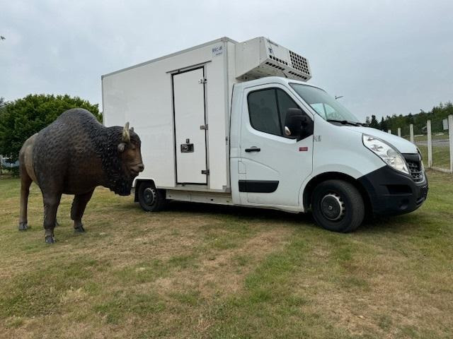 Renault Master - Малотоннажный рефрижератор: фото 5 Renault Master - Малотоннажный рефрижератор: фото 5