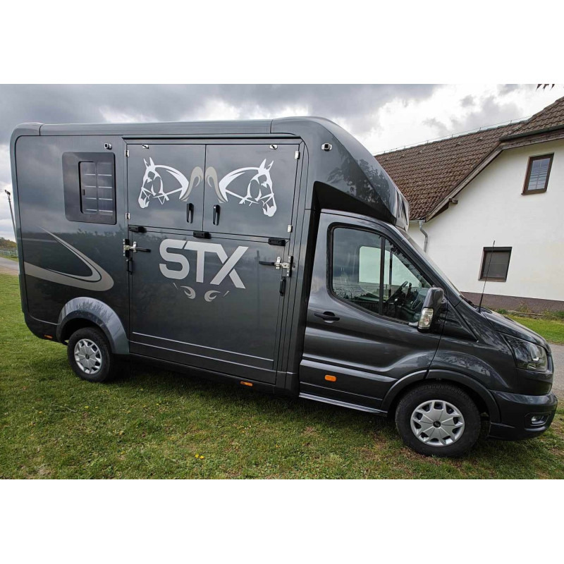 STX Ford Transit by Stephex - Коневоз: фото 3 STX Ford Transit by Stephex - Коневоз: фото 3