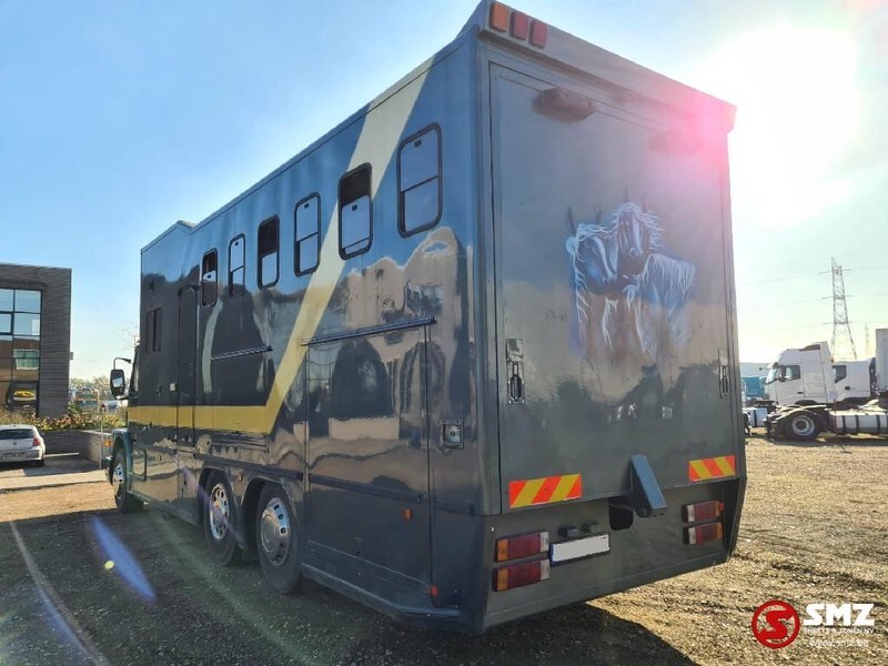 Scania 113 paarden/mobilhome - Коневоз: фото 3 Scania 113 paarden/mobilhome - Коневоз: фото 3