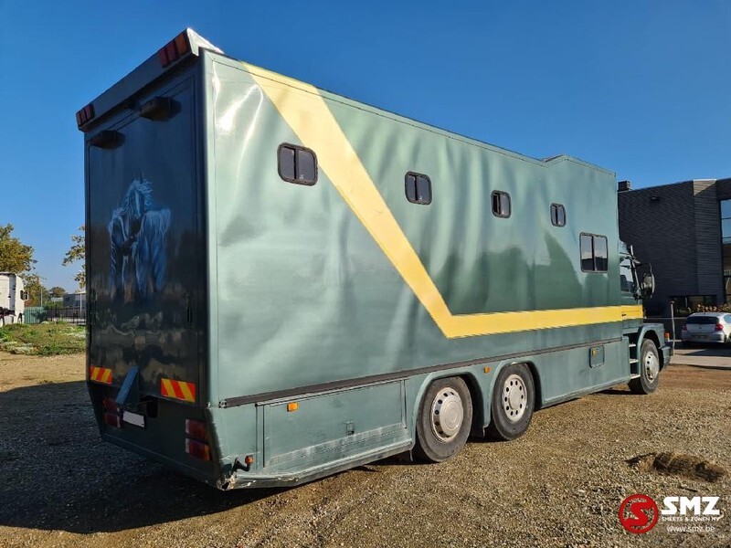 Scania 113 paarden/mobilhome - Коневоз: фото 4 Scania 113 paarden/mobilhome - Коневоз: фото 4