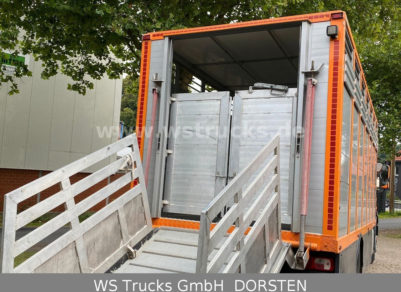 Коневоз DAF CF 400 Menke Einstock: фото 7