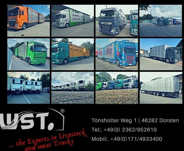 Новый Прицеп-рефрижератор Getränke  WST Edition Big  3,70m x 1,85m  3,5 to: фото 19