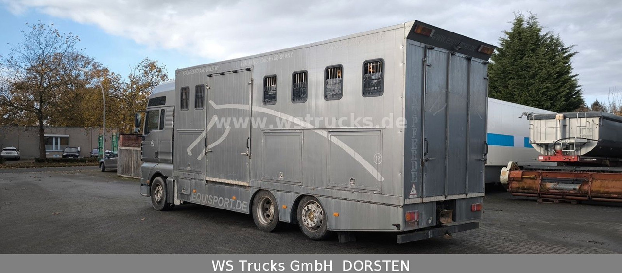 MAN TGA 26.480 FG 6x2 Pferdetransporter Luft/Luft - Коневоз: фото 5 MAN TGA 26.480 FG 6x2 Pferdetransporter Luft/Luft - Коневоз: фото 5