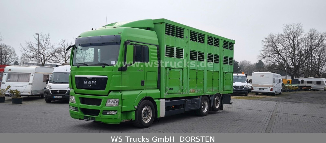 MAN TGX 26.480 XL KABA 3 Stock Viehtransporter - Коневоз: фото 2 MAN TGX 26.480 XL KABA 3 Stock Viehtransporter - Коневоз: фото 2
