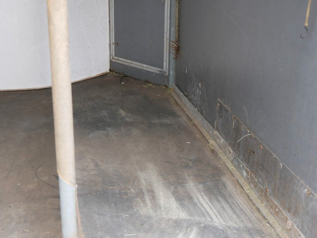 Westeria 2 Pferde Westeria 2 Pferde - Прицеп-коневоз: фото 5 Westeria 2 Pferde Westeria 2 Pferde - Прицеп-коневоз: фото 5