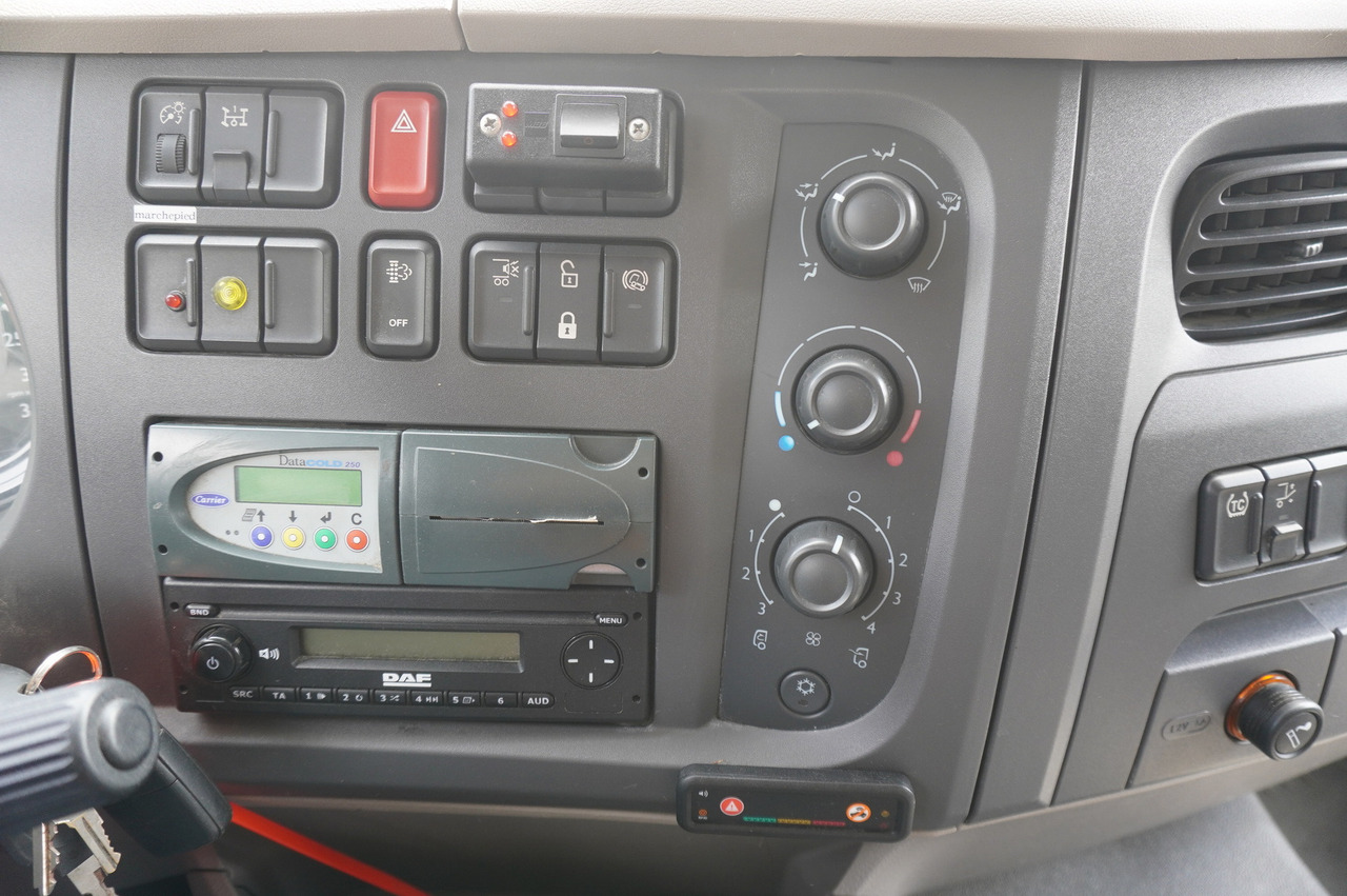 Рефрижератор DAF LF 220 / Refrigerator 16 EPAL Multitemp / Carrier Supra 1150 MT / Palfinger 1500 kg: фото 19