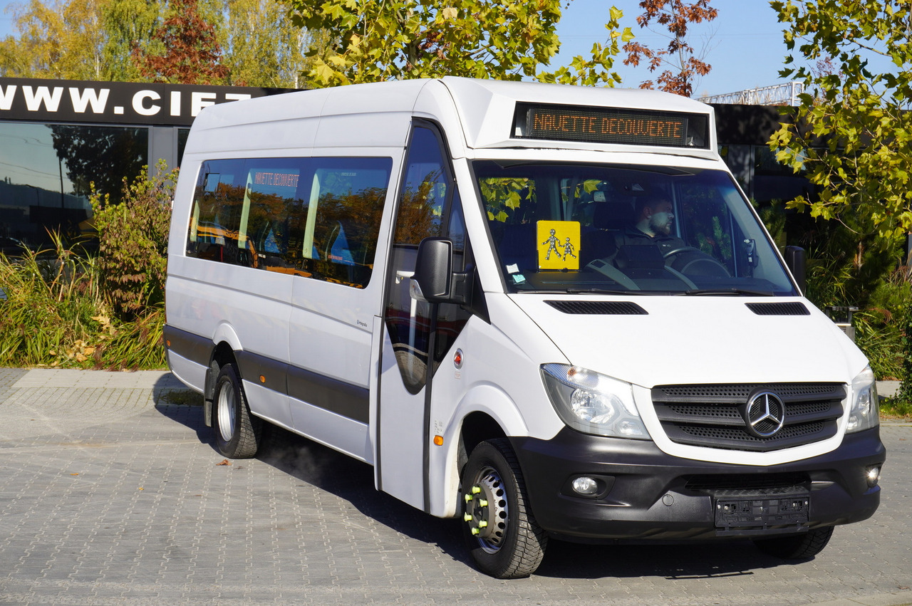 Mercedes-Benz Sprinter 516 CDI / School bus / 23 seats / automatic - Школьный автобус: фото 2 Mercedes-Benz Sprinter 516 CDI / School bus / 23 seats / automatic - Школьный автобус: фото 2