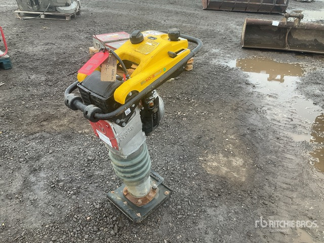 2020 Wacker Neuson BS50-2plus Demolition Breaker Jumping Jack Tamper - Трамбовка: фото 1 2020 Wacker Neuson BS50-2plus Demolition Breaker Jumping Jack Tamper - Трамбовка: фото 1