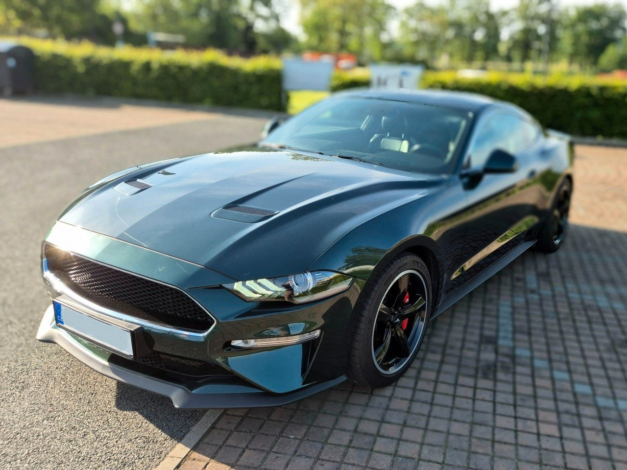 Ford Mustang Bullitt - Легковой автомобиль: фото 1 Ford Mustang Bullitt - Легковой автомобиль: фото 1