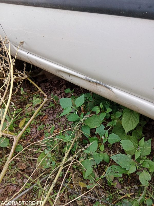 FIAT PANDA - Легковой автомобиль: фото 5 FIAT PANDA - Легковой автомобиль: фото 5