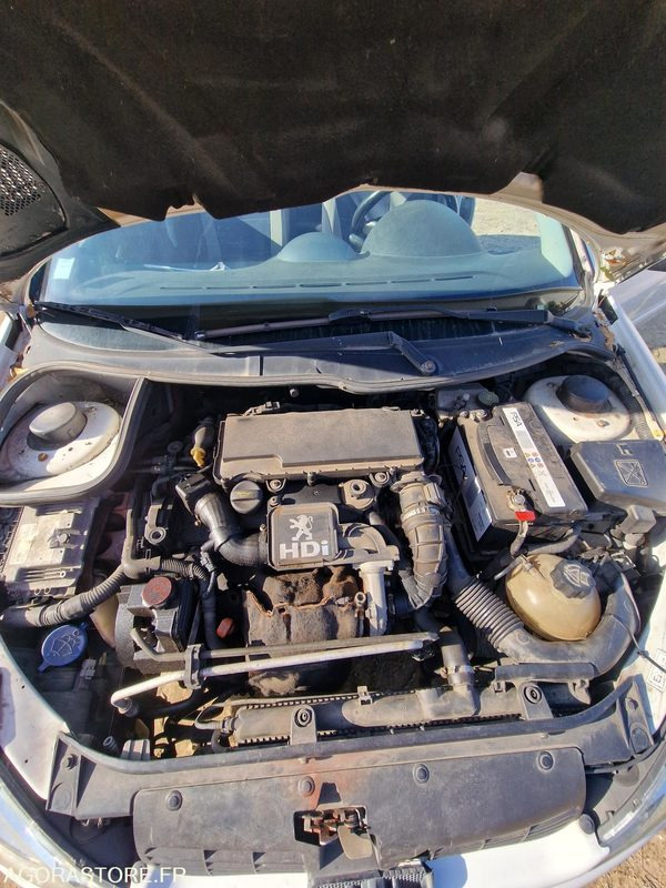 Легковой автомобиль PEUGEOT 206 - LOT N°1: фото 20