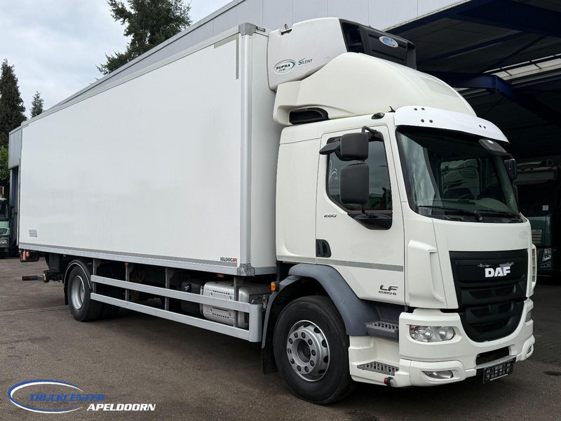 DAF LF 280 Euro 6, Carrier Supra, Olie in het koelwater - Рефрижератор: фото 1 DAF LF 280 Euro 6, Carrier Supra, Olie in het koelwater - Рефрижератор: фото 1