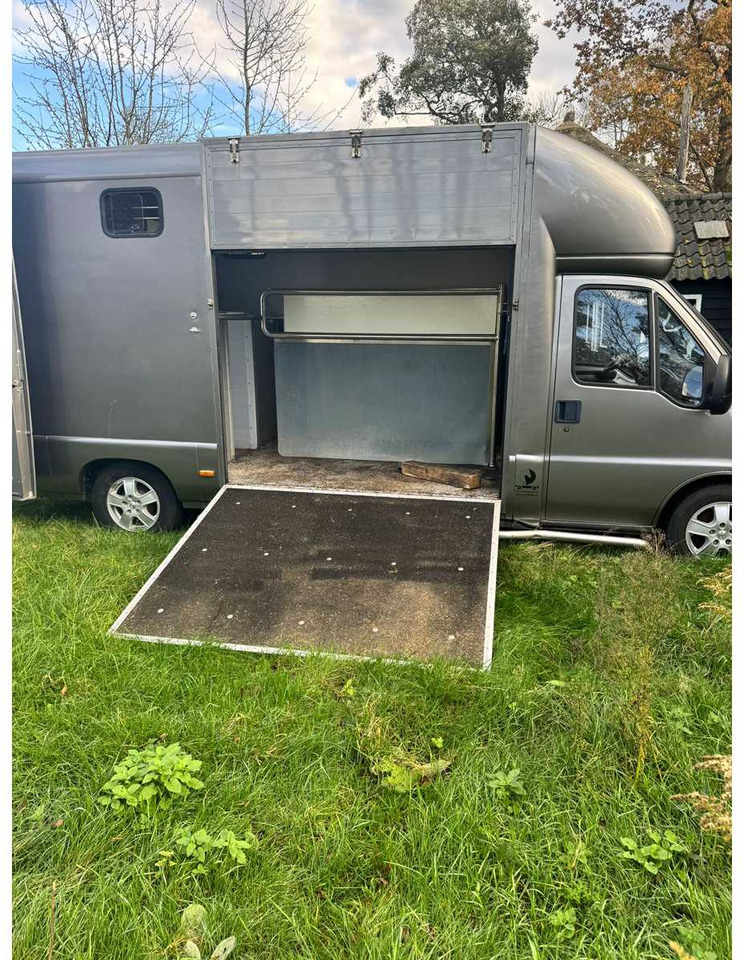 1999 FIAT DUCATO MAXI 18 2.8 ID 598-140 HORSE TRUCK - Лёгкий коммерческий автомобиль: фото 2 1999 FIAT DUCATO MAXI 18 2.8 ID 598-140 HORSE TRUCK - Лёгкий коммерческий автомобиль: фото 2