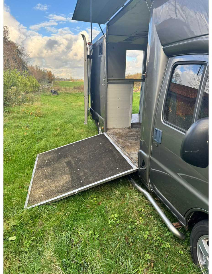 1999 FIAT DUCATO MAXI 18 2.8 ID 598-140 HORSE TRUCK - Лёгкий коммерческий автомобиль: фото 5 1999 FIAT DUCATO MAXI 18 2.8 ID 598-140 HORSE TRUCK - Лёгкий коммерческий автомобиль: фото 5