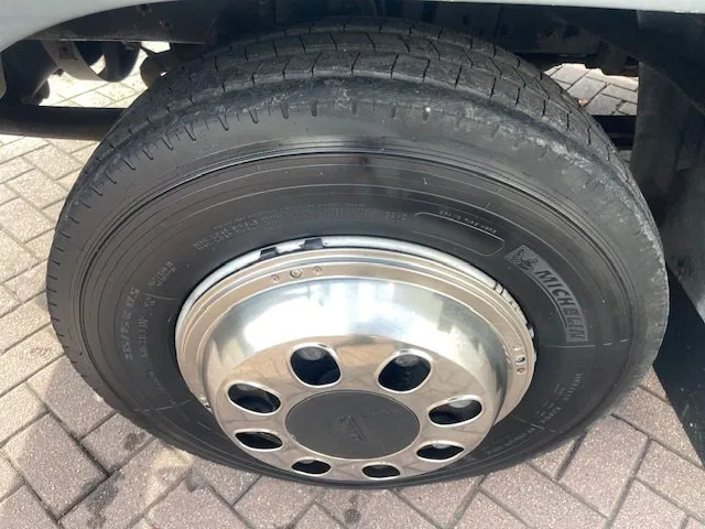 Коневоз DAF LF 45.130 CLEAN HORSES NL-TRUCK: фото 20