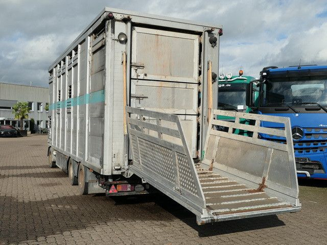 Bannas AT 24.83, 3 Etagen, Schweine, Liftachse - Прицеп для перевозки животных: фото 4 Bannas AT 24.83, 3 Etagen, Schweine, Liftachse - Прицеп для перевозки животных: фото 4
