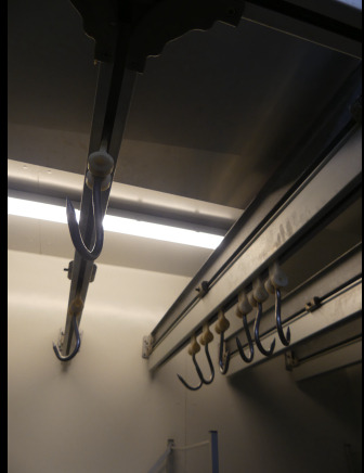 Rail de transport pour viande - Пищевое оборудование: фото 3 Rail de transport pour viande - Пищевое оборудование: фото 3